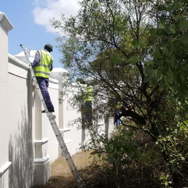 0290. Perimeter wall maintenence